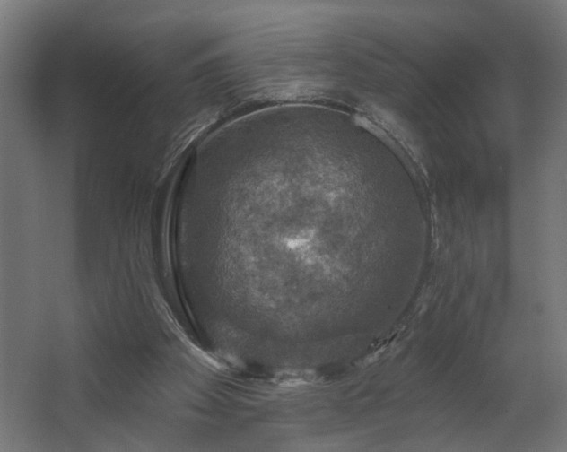 X0000067840105200604201252