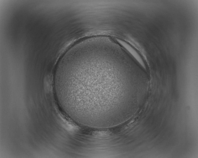 X0000067840107200604201252