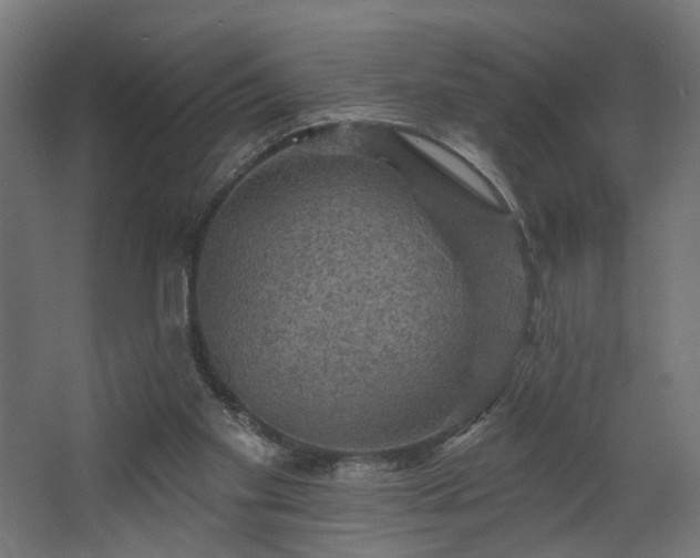 X0000067840109200604201252