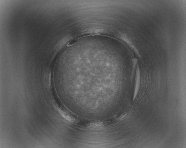 X0000067840110200604201252