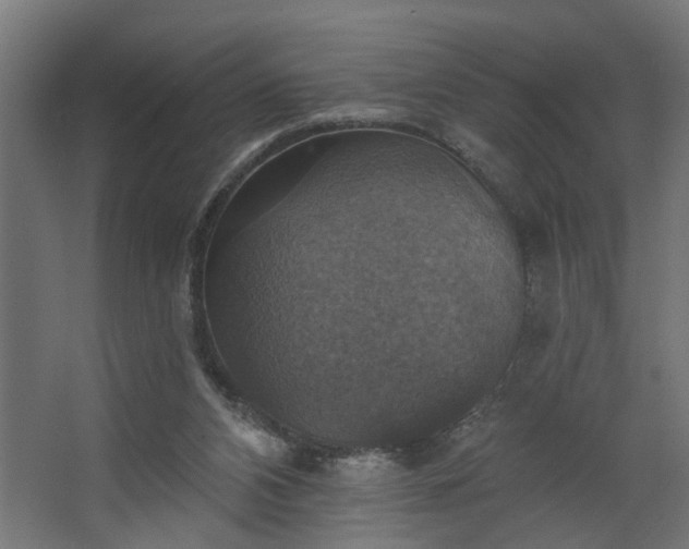 X0000067840112200604201252