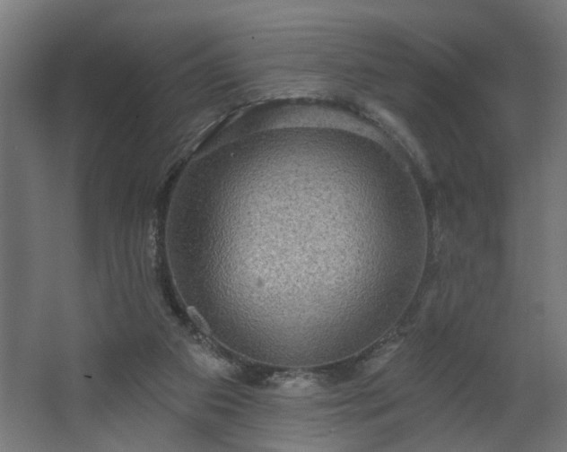 X0000067840113200604201251