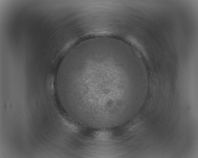 X0000067840115200604201251