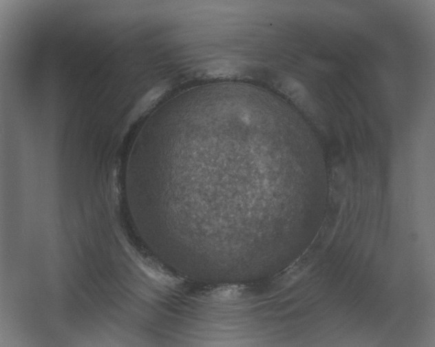 X0000067840116200604201251