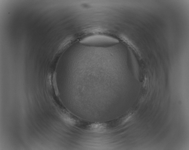 X0000067840117200604201251