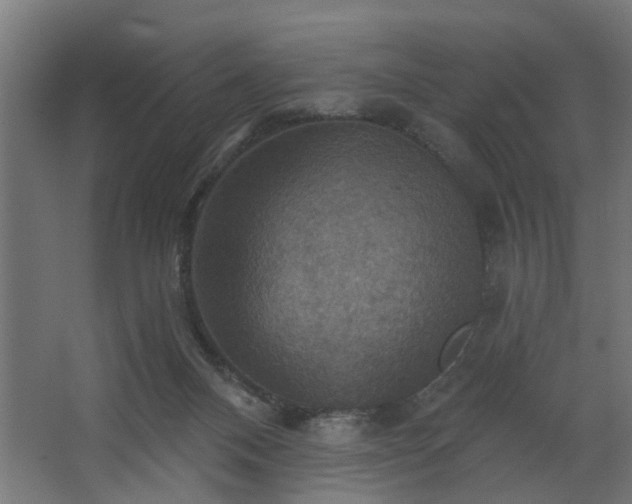 X0000067840120200604201251