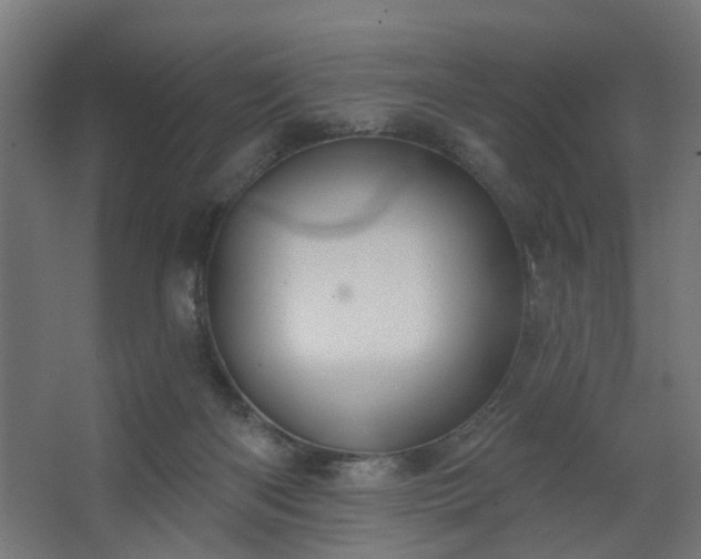 X0000067840122200604201251