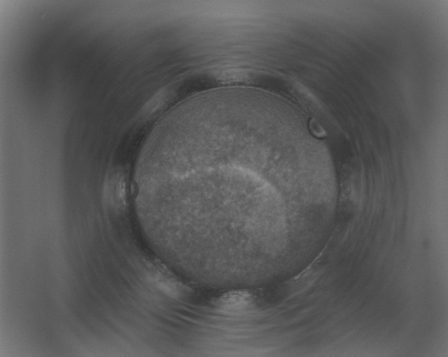 X0000067840124200604201251