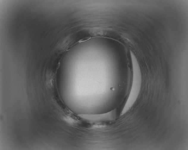 X0000067840125200604201251