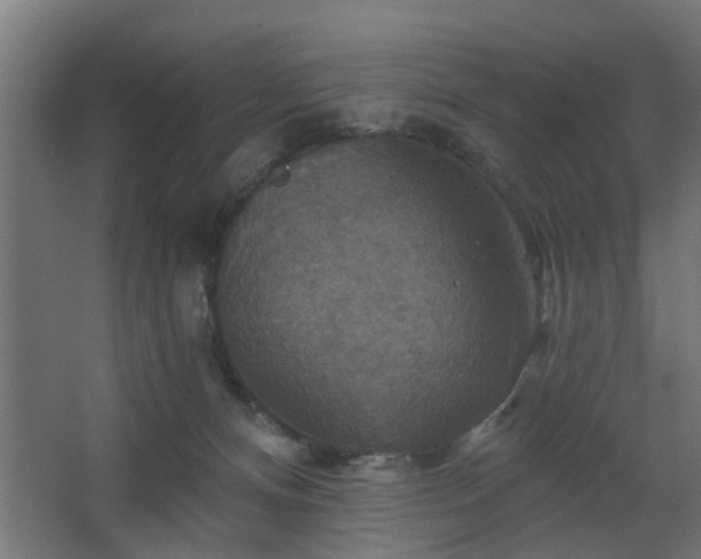 X0000067840128200604201251