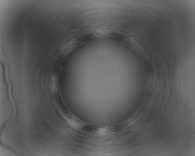 X0000067840130200604201251