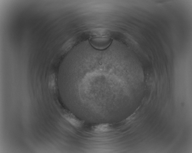 X0000067840132200604201251