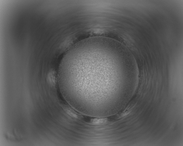 X0000067840135200604201251