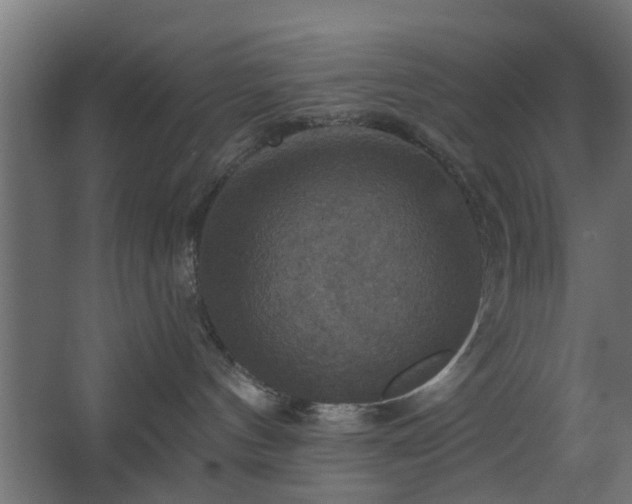 X0000067840144200604201251