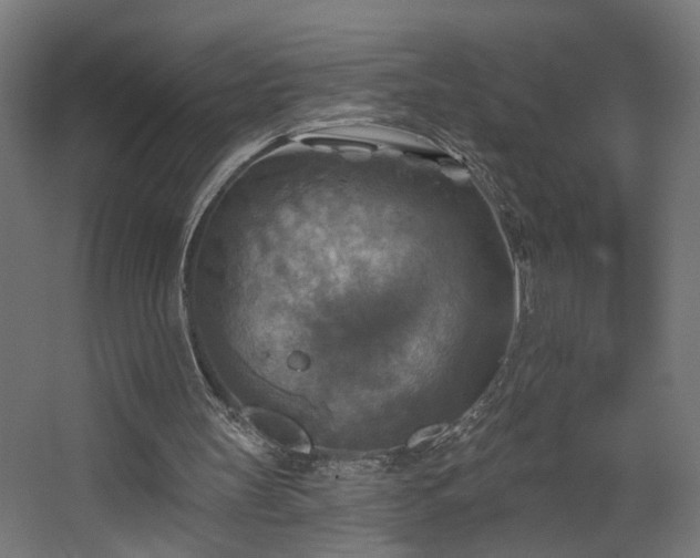 X0000067840147200604201250