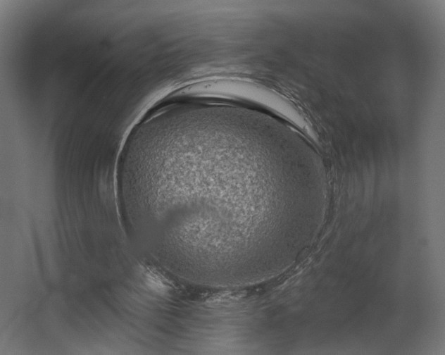 X0000067840148200604201250