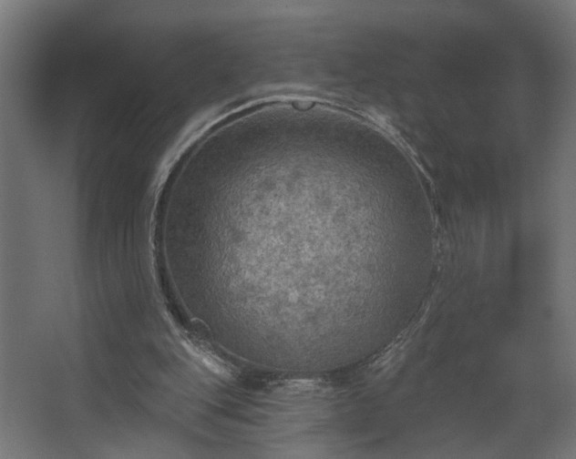 X0000067840151200604201250