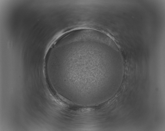 X0000067840152200604201250