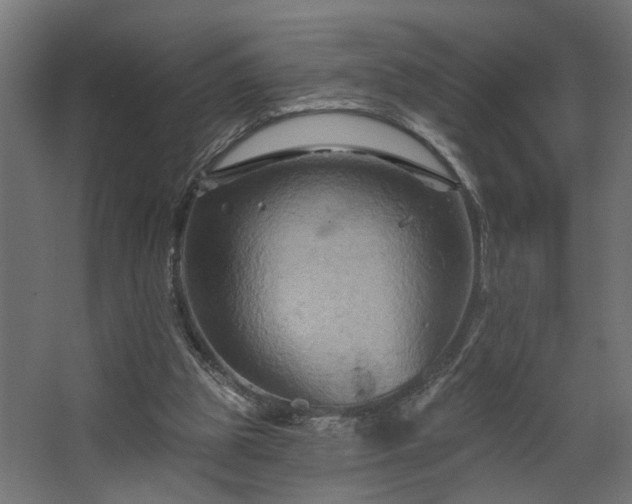 X0000067840153200604201250