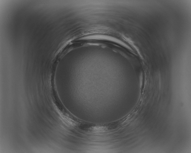 X0000067840154200604201250