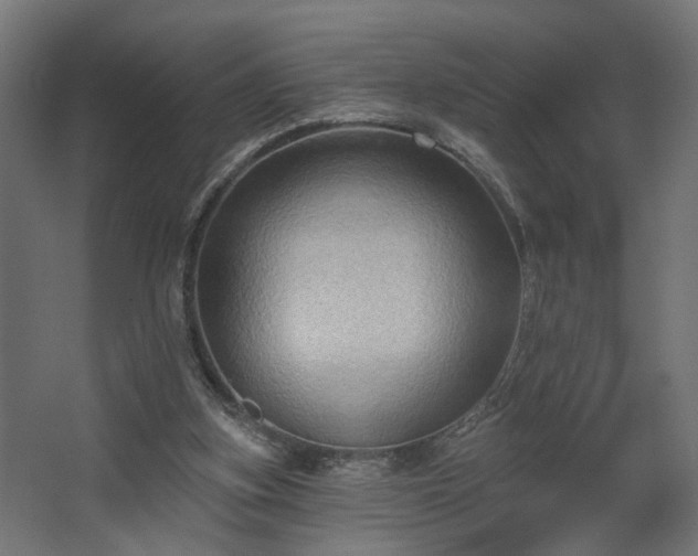 X0000067840155200604201250