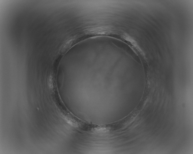 X0000067840161200604201250