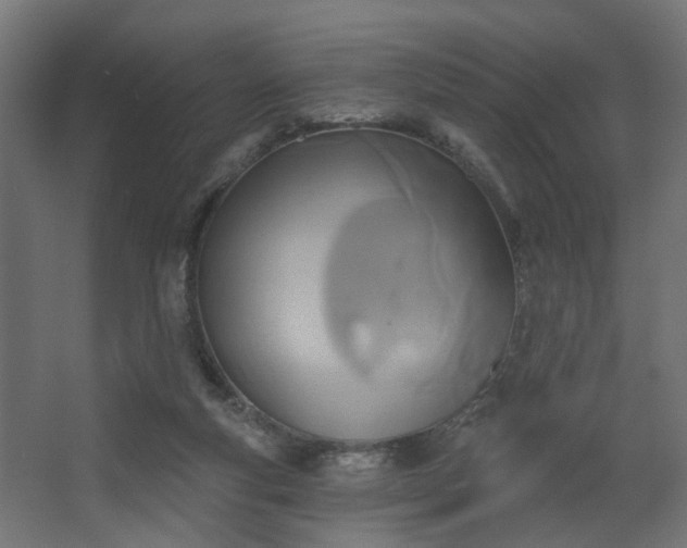 X0000067840163200604201250