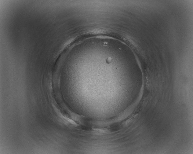 X0000067840164200604201250