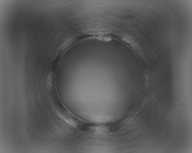 X0000067840165200604201251