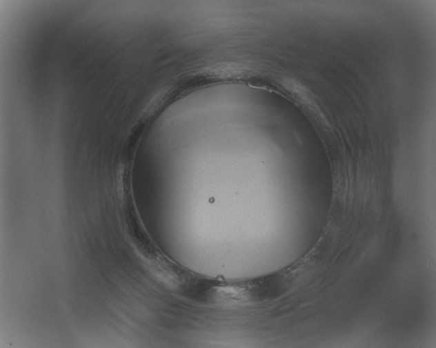 X0000067840167200604201251