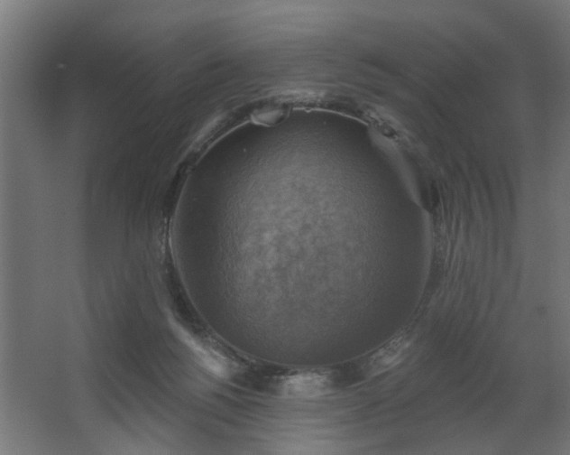 X0000067840168200604201251