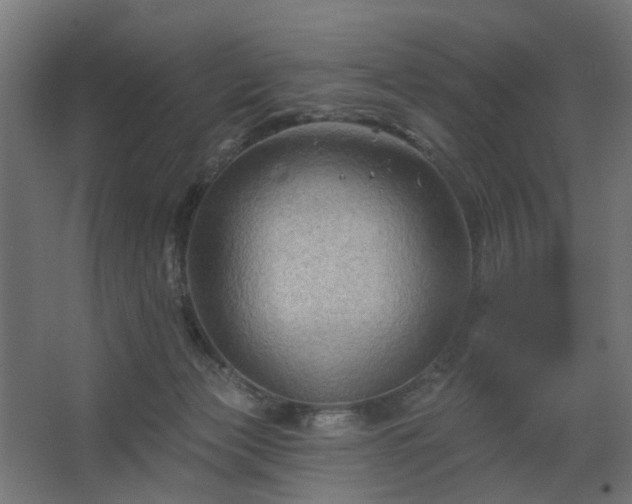 X0000067840173200604201251