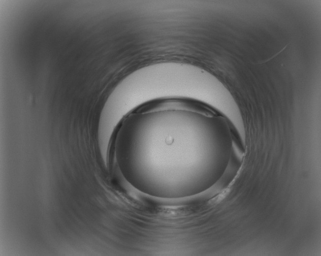 X0000067840174200604201251