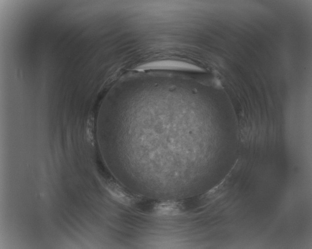 X0000067840175200604201251