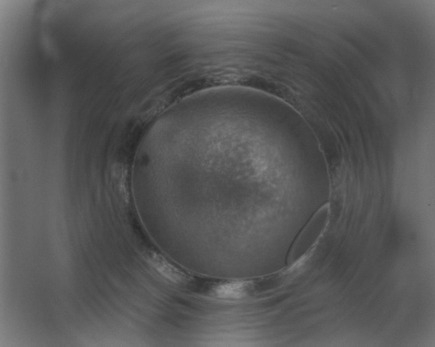 X0000067840178200604201251