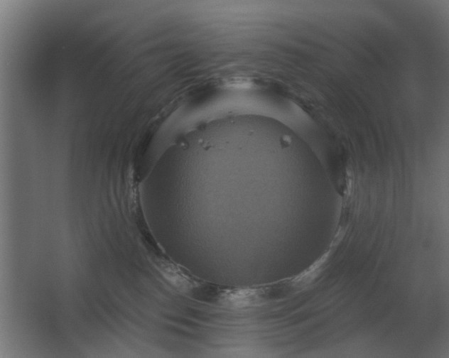 X0000067840186200604201251