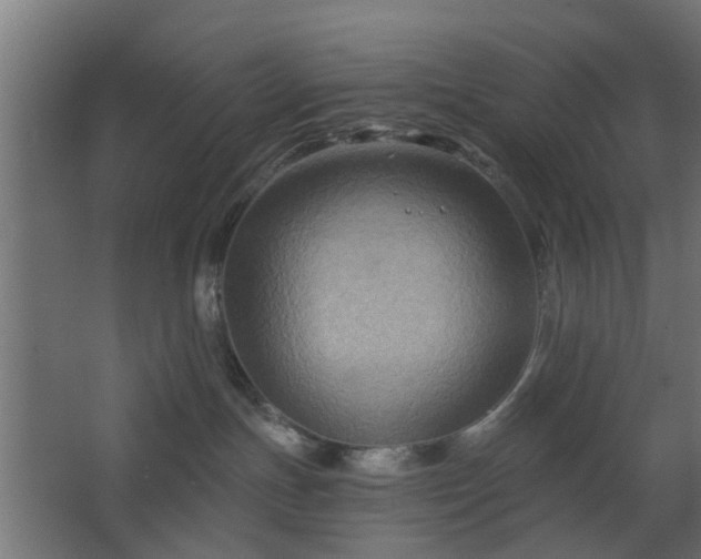 X0000067840191200604201251