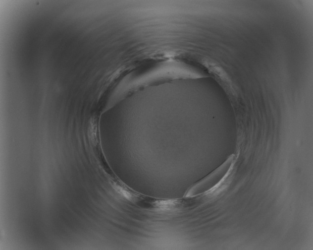 X0000067840192200604201251