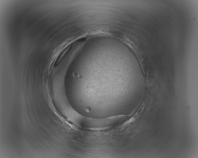 X0000067840193200604201250