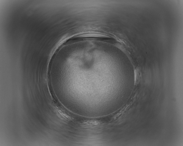 X0000067840195200604201250