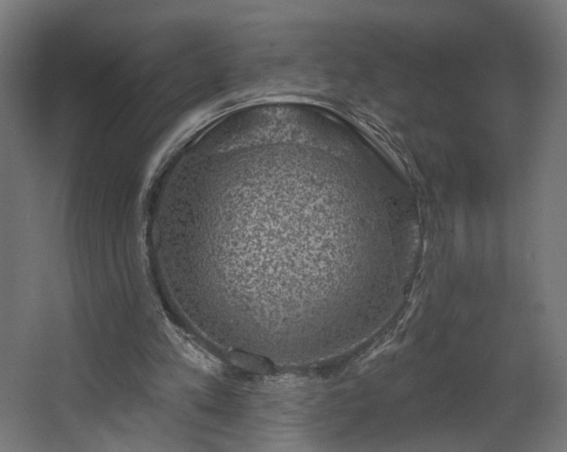 X0000067840197200604201250