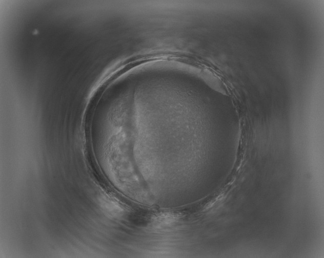 X0000067840198200604201250