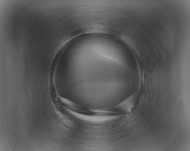 X0000067840204200604201250