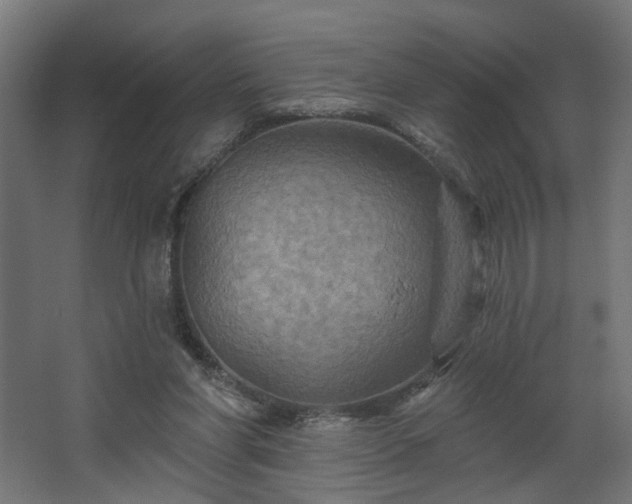 X0000067840206200604201250