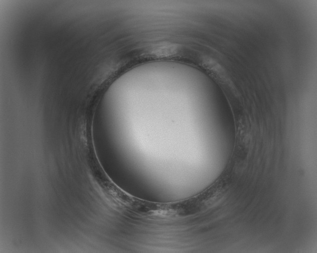 X0000067840212200604201250