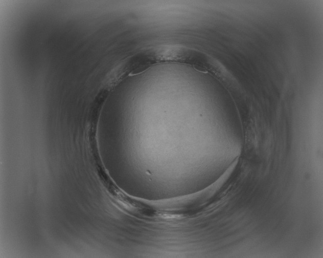 X0000067840217200604201250