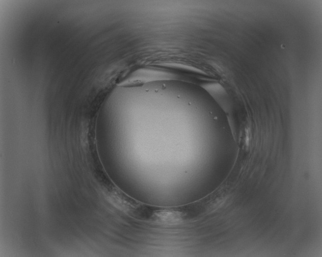 X0000067840221200604201250