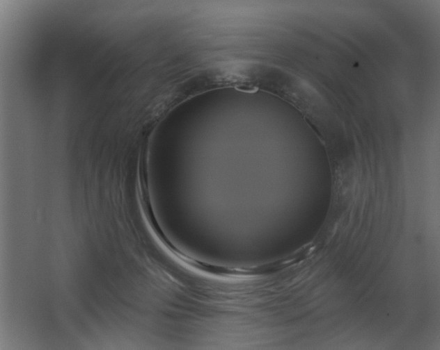 X0000067840223200604201250