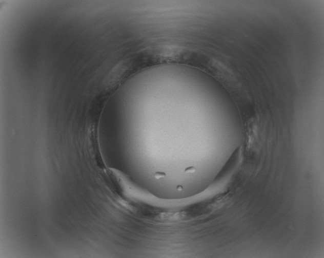 X0000067840225200604201250