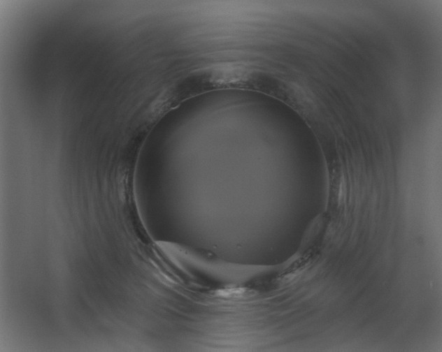 X0000067840227200604201250